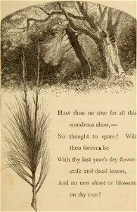 Religious Poems (page 69 crop)