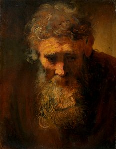 Rembrandt - Study of an Old Man - Widener