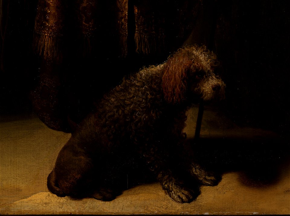 Rembrandt - Portrait de l'artiste en costume oriental - musée des Beaux-Arts de la ville de Paris - 5