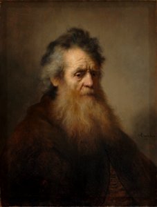 Rembrandt Bearded old man