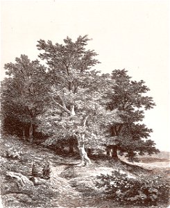 Remigius Adrianus van Haanen 068 (40450944321)