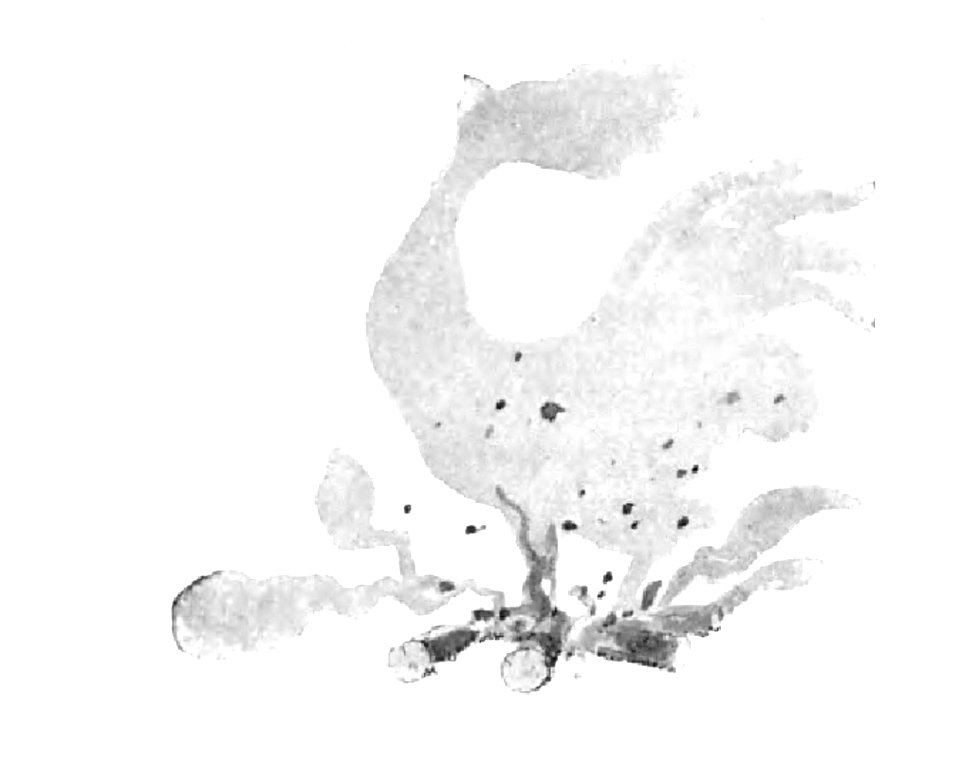 Renard - Histoires naturelles, 1909-14-1