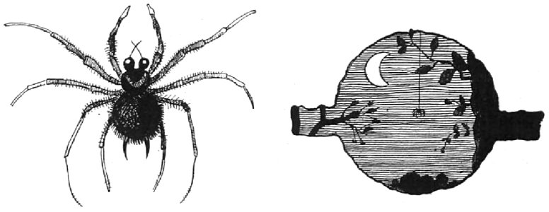 Renard - Histoires naturelles, 1909-73-1