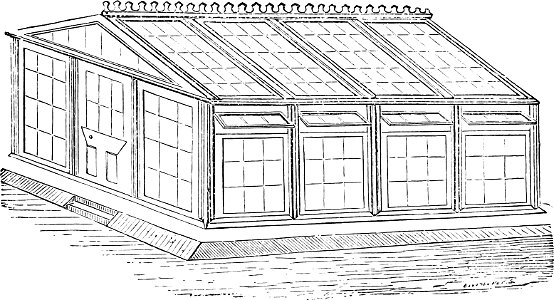 Removable greenhouse-Amateurs Greenhouse Conservatory-0054