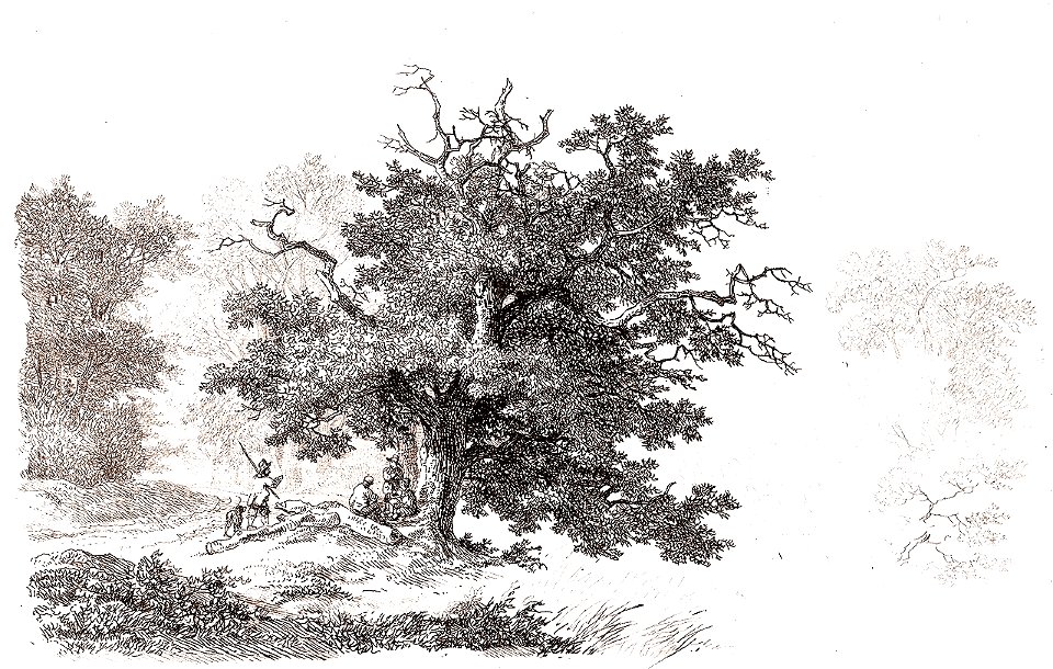 Remigius Adrianus van Haanen 063 (25579922877)