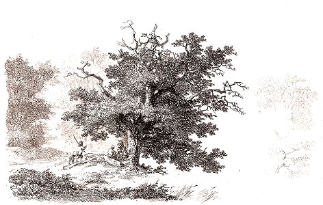 Remigius Adrianus van Haanen 063 (25579922877)