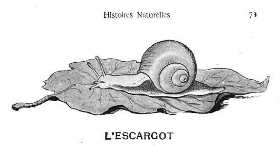Renard - Histoires naturelles, 1909-75-1