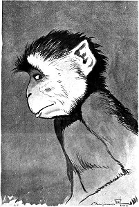 Renard - Histoires naturelles, 1909 (page 81 crop)