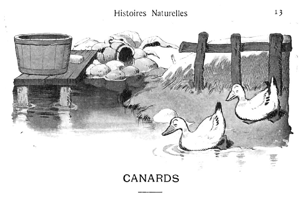 Renard - Histoires naturelles, 1909-15-1