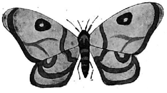 Renard - Histoires naturelles, 1909-77-4