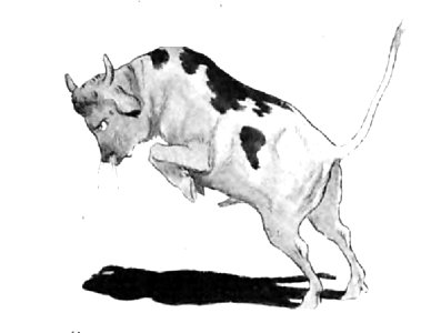 Renard - Histoires naturelles, 1909-46-3