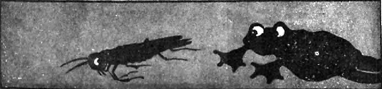 Renard - Histoires naturelles, 1909-69-3