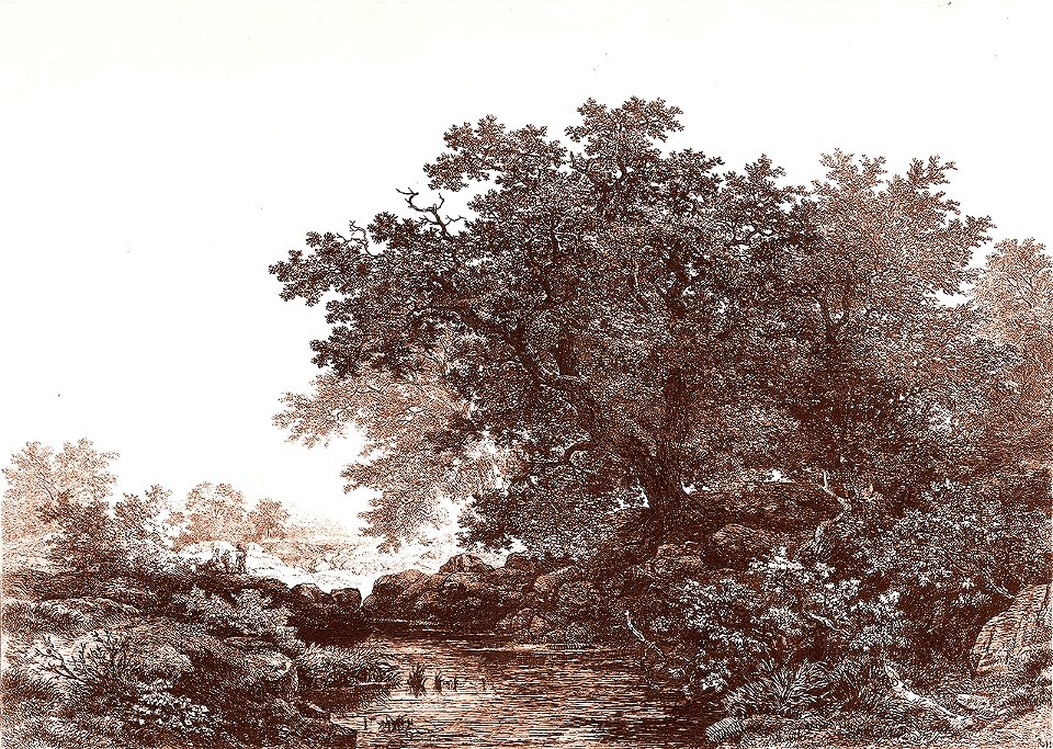 Remigius Adrianus van Haanen 096 (40450924641)