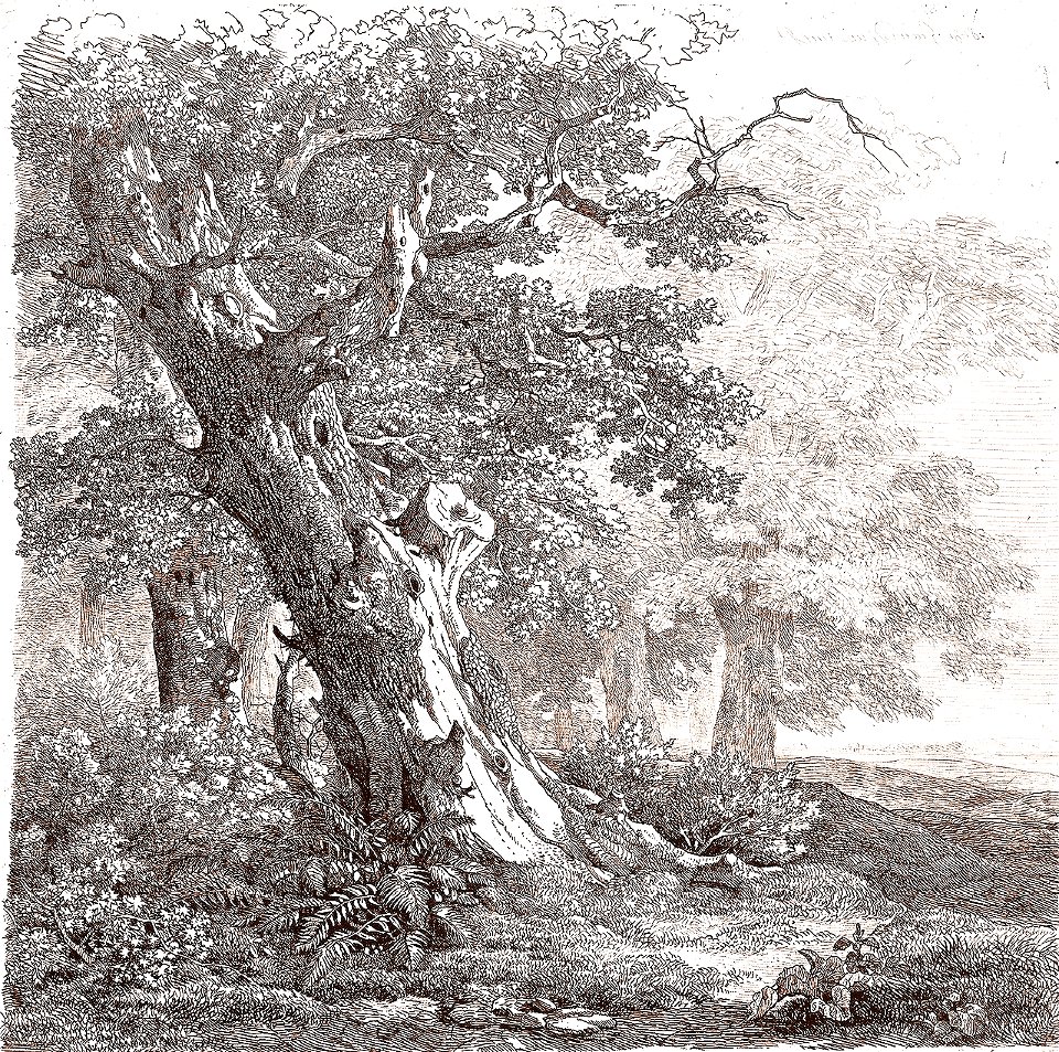 Remigius Adrianus van Haanen 070 (40450942961)