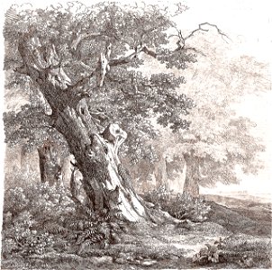 Remigius Adrianus van Haanen 070 (40450942961)