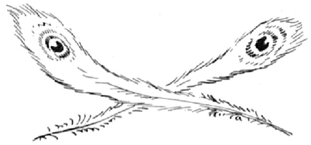 Renard - Histoires naturelles, 1909-23-2