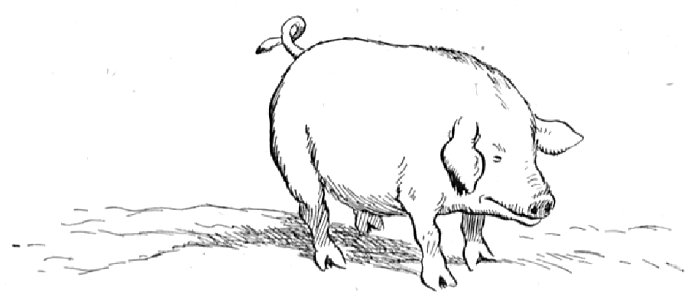 Renard - Histoires naturelles, 1909-53-2