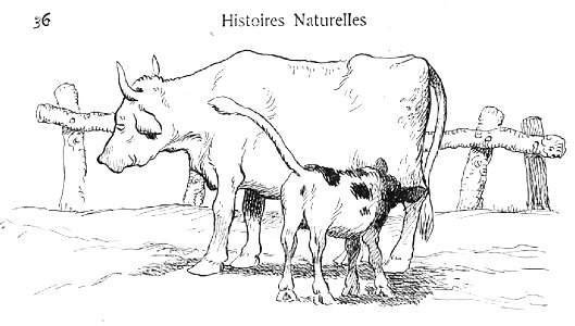 Renard - Histoires naturelles, 1909-38-1