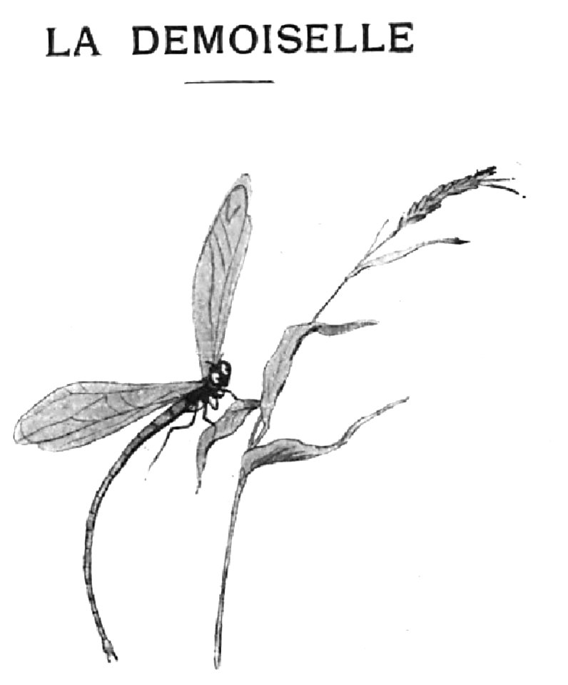 Renard - Histoires naturelles, 1909-77-1