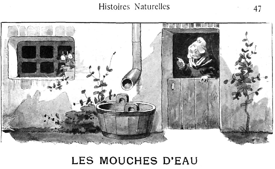 Renard - Histoires naturelles, 1909-49-1