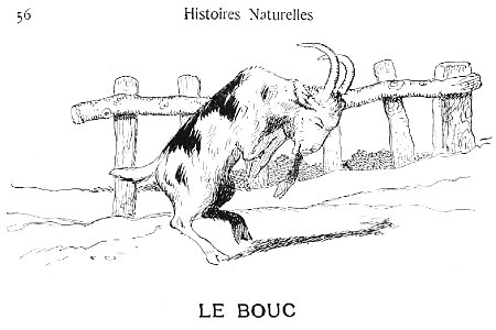 Renard - Histoires naturelles, 1909-58-1