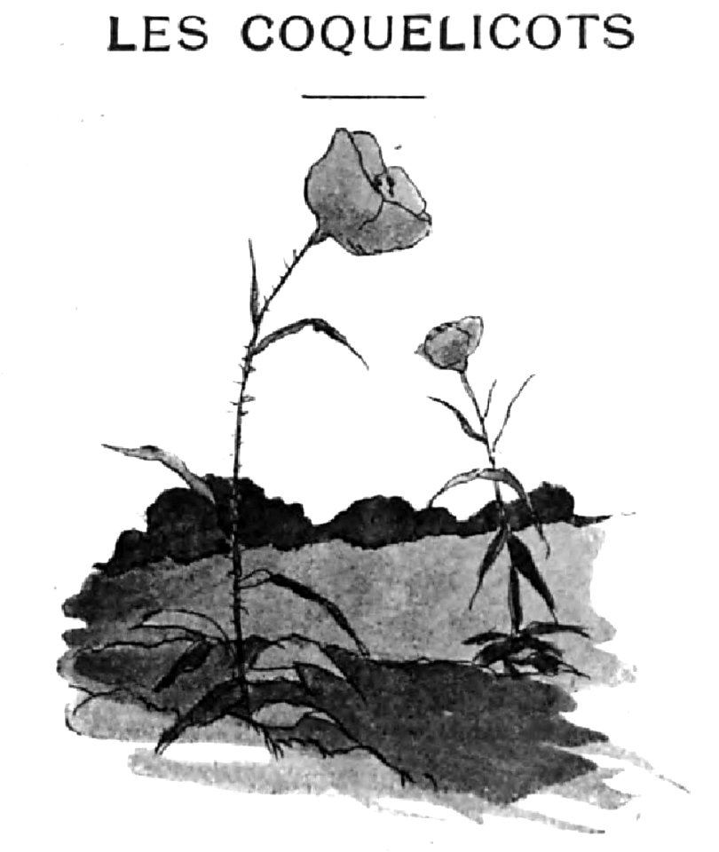 Renard - Histoires naturelles, 1909-94-1
