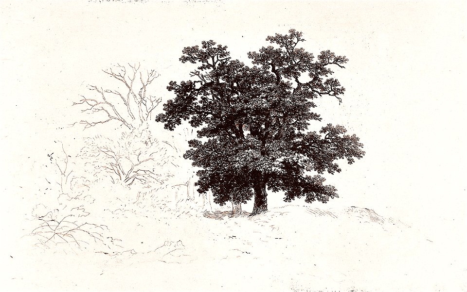 Remigius Adrianus van Haanen 069 (40450943491)