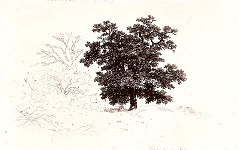 Remigius Adrianus van Haanen 069 (40450943491)