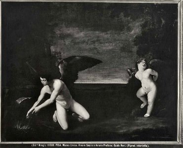 Reni - Amor sacro e Amor profano, Museo Nazionale di S. Matteo