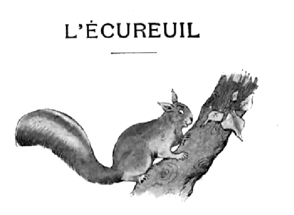 Renard - Histoires naturelles, 1909-77-2