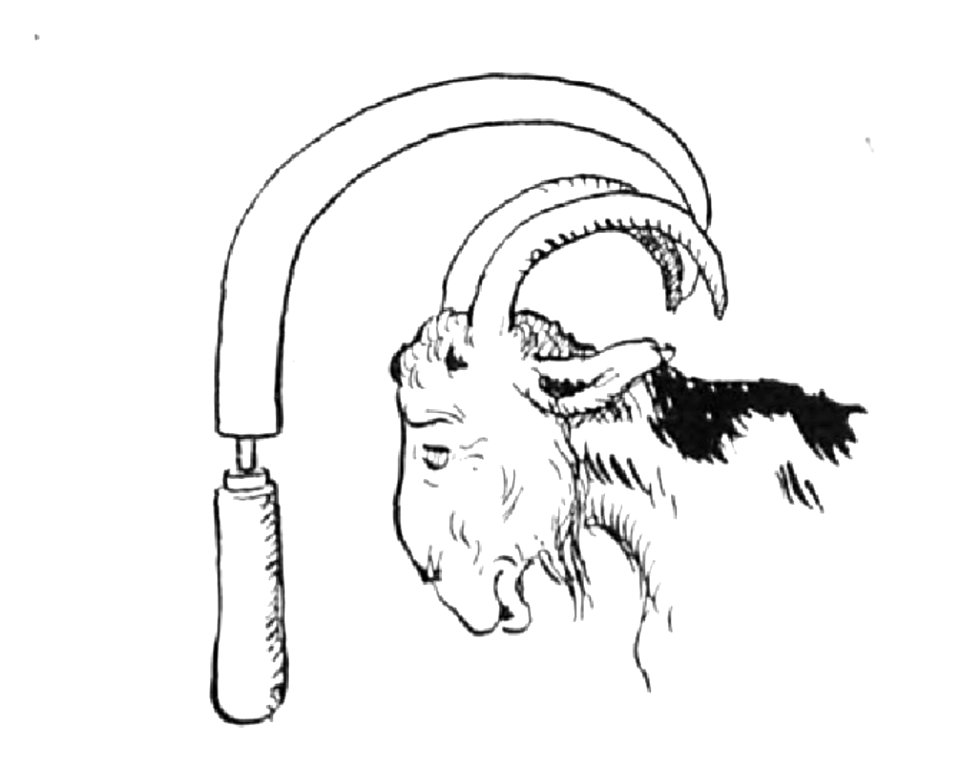Renard - Histoires naturelles, 1909-58-2