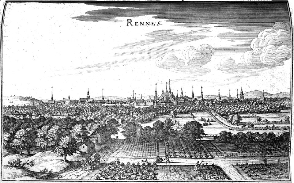RenneS Zeiller 15095