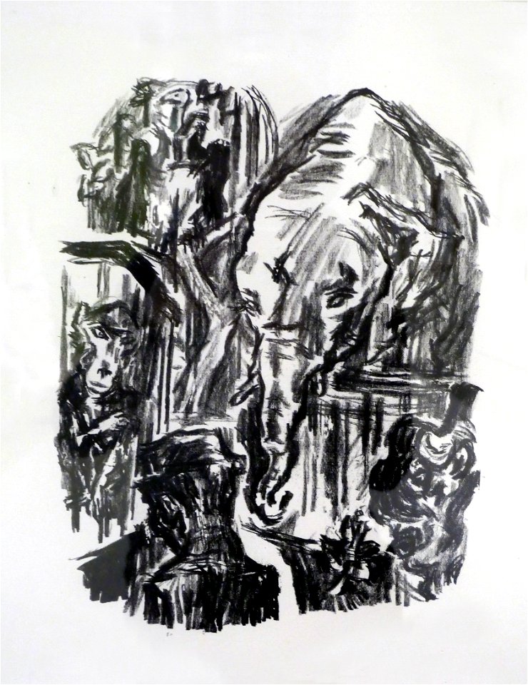 René Beeh, Jardin des Plantes