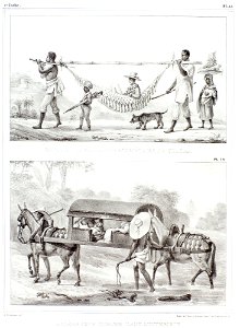 Retour, a la ville, d´un propriétaire de chacra, da Coleção Brasiliana Iconográfica