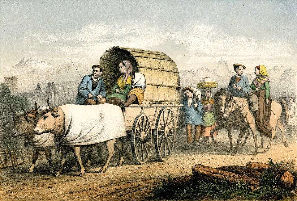 Retour du Marché de Pau - Fonds Ancely - B315556101 A GORSE 7 021