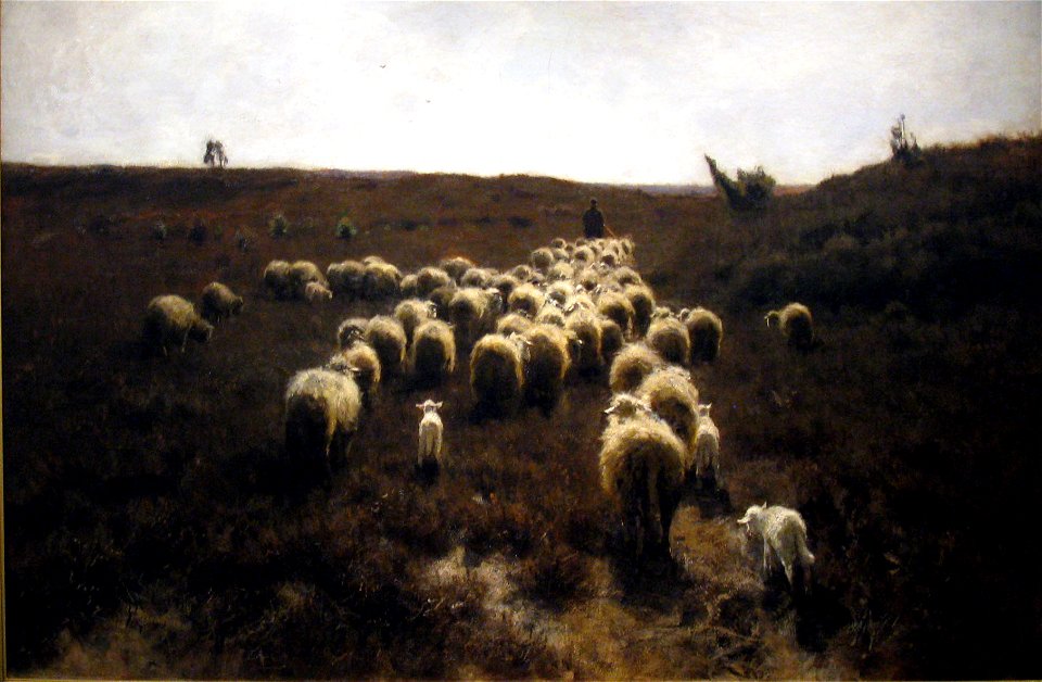 Returnoftheflock02