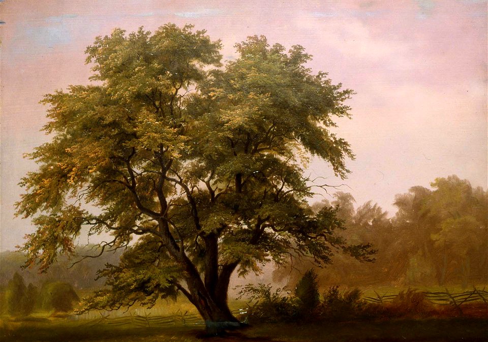 Reuben Oliver Luckenbach - Landscape with Large Tree - 1981.368 - Museum of Fine Arts