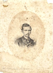 Retrato do Conselheiro João Alfredo (MHCRJ)