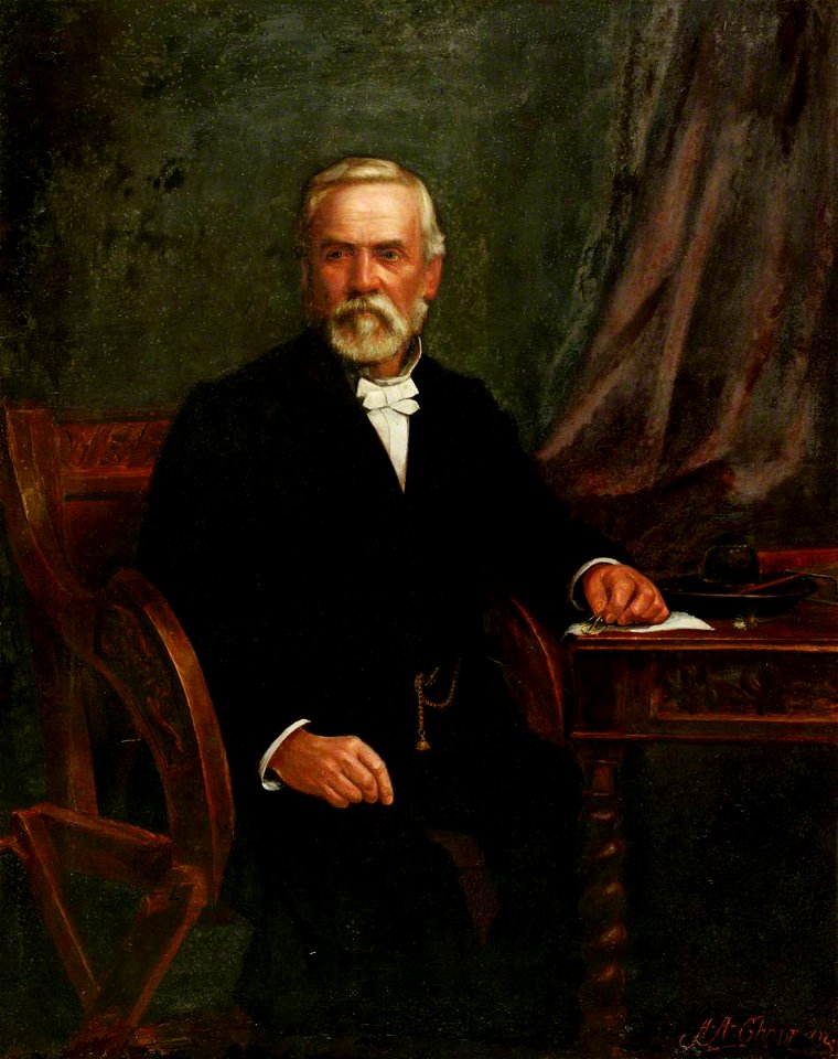 Reverend Thomas Rees (1825–1908) (gcf10118)