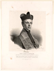 Revd. John P. Donelan, rector of St. Matthew's Church, Washington City, D.C. - from life on stone by Fenderich 1841. LCCN2017657755