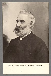 Rev. W. Davies, Vicar of Llanfihangel Abercowin (5349098)