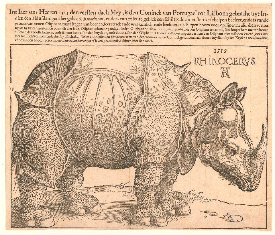 Rhinoceros - AD (monogram). LCCN2002712730