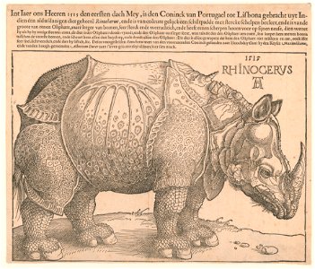 Rhinoceros - AD (monogram). LCCN2002712730