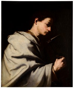 Ribera - (Copia) San Matías, P001093