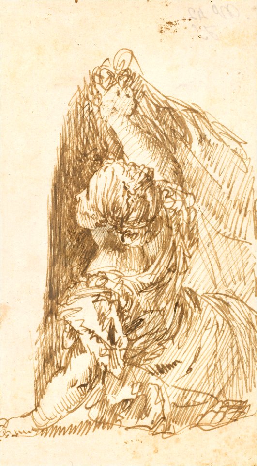 Ricci - A woman holding back a curtain c. 1710, RCIN 907004