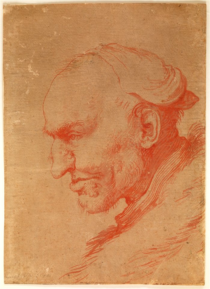Ribera (Cabeza de hombre de perfil)