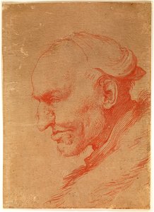 Ribera (Cabeza de hombre de perfil)
