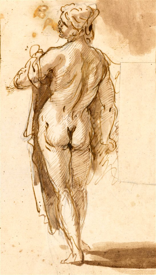 Ricci - A nude woman c. 1700 - c. 1710, RCIN 907008