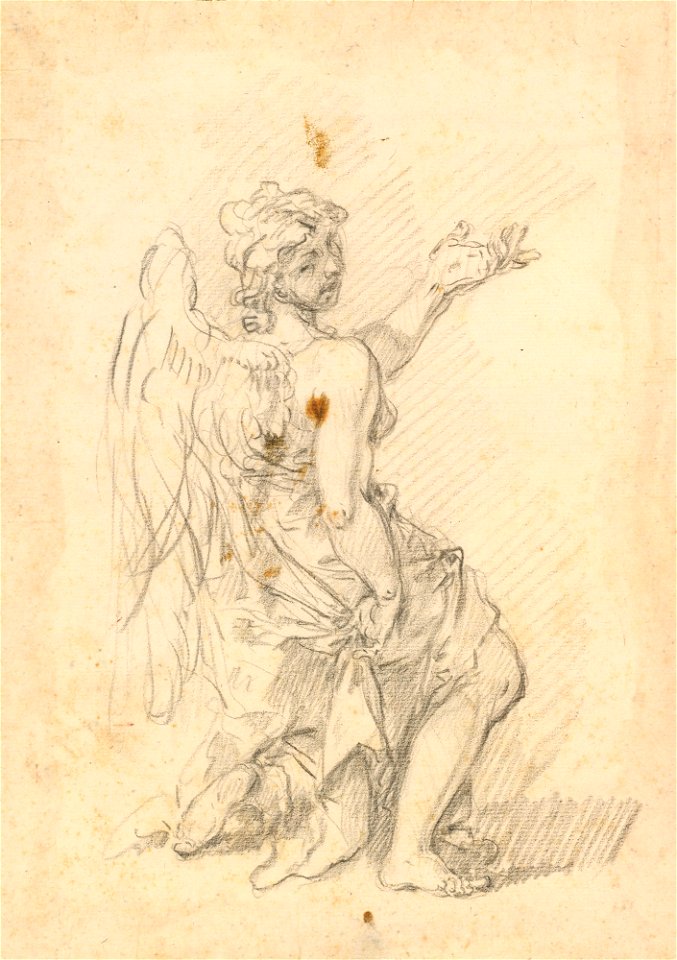 Ricci - A study for an angel c. 1727, RCIN 907137