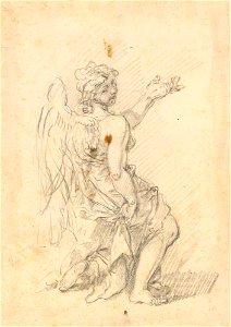 Ricci - A study for an angel c. 1727, RCIN 907137